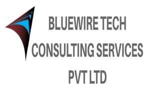 Bluewire Tech BPO service
